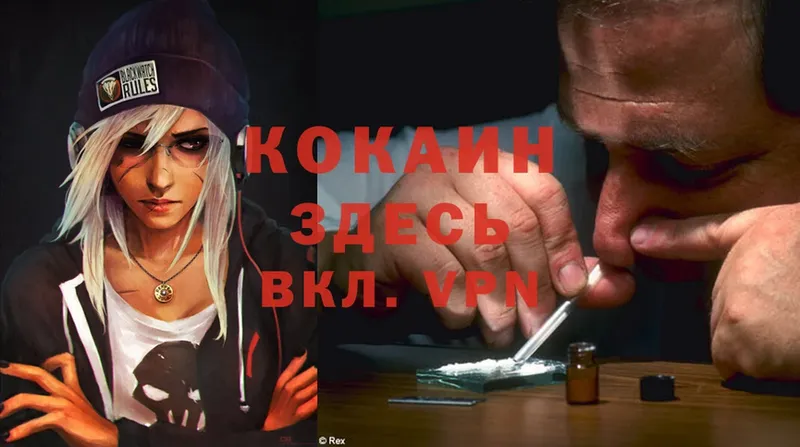 OMG вход  Советский  COCAIN Боливия 