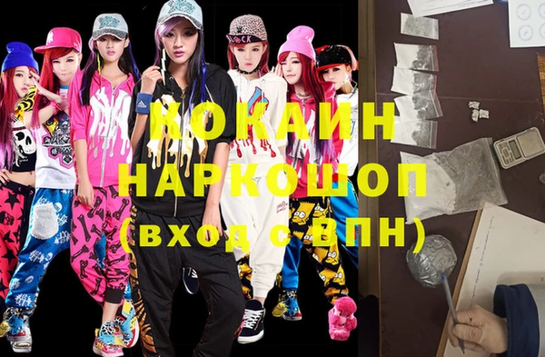 шишки Наволоки