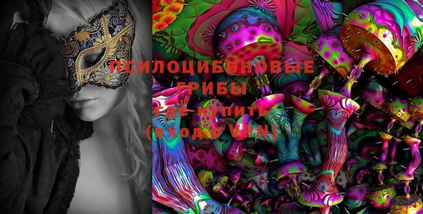 шишки Наволоки
