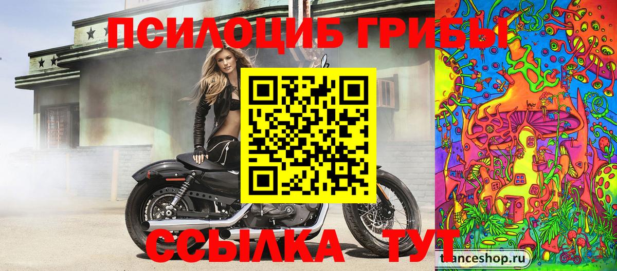 Галлюциногенные грибы мухоморы  Советский  Галлюциногенные грибы GOLDEN TEACHER 