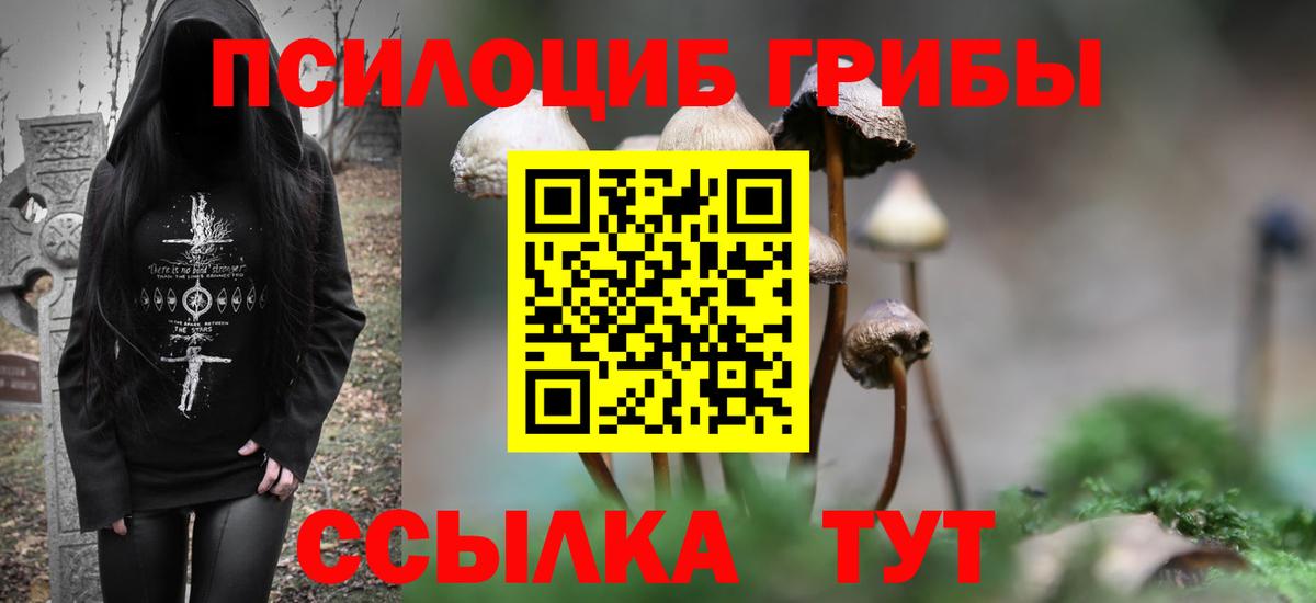 Псилоцибиновые грибы Magic Shrooms  Вход с VPN  Советский  Псилоцибиновые грибы Magic Shrooms 