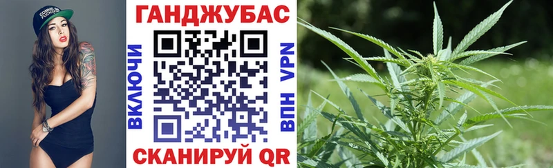 где продают   Советский  Бошки Шишки ГИДРОПОН 